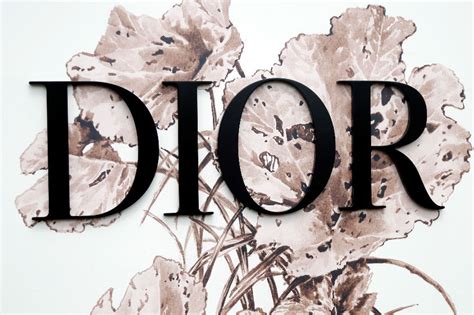 dior logo art